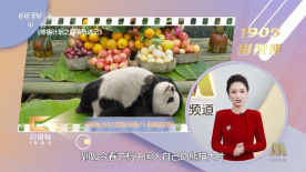 freexxx性欧美另类极品